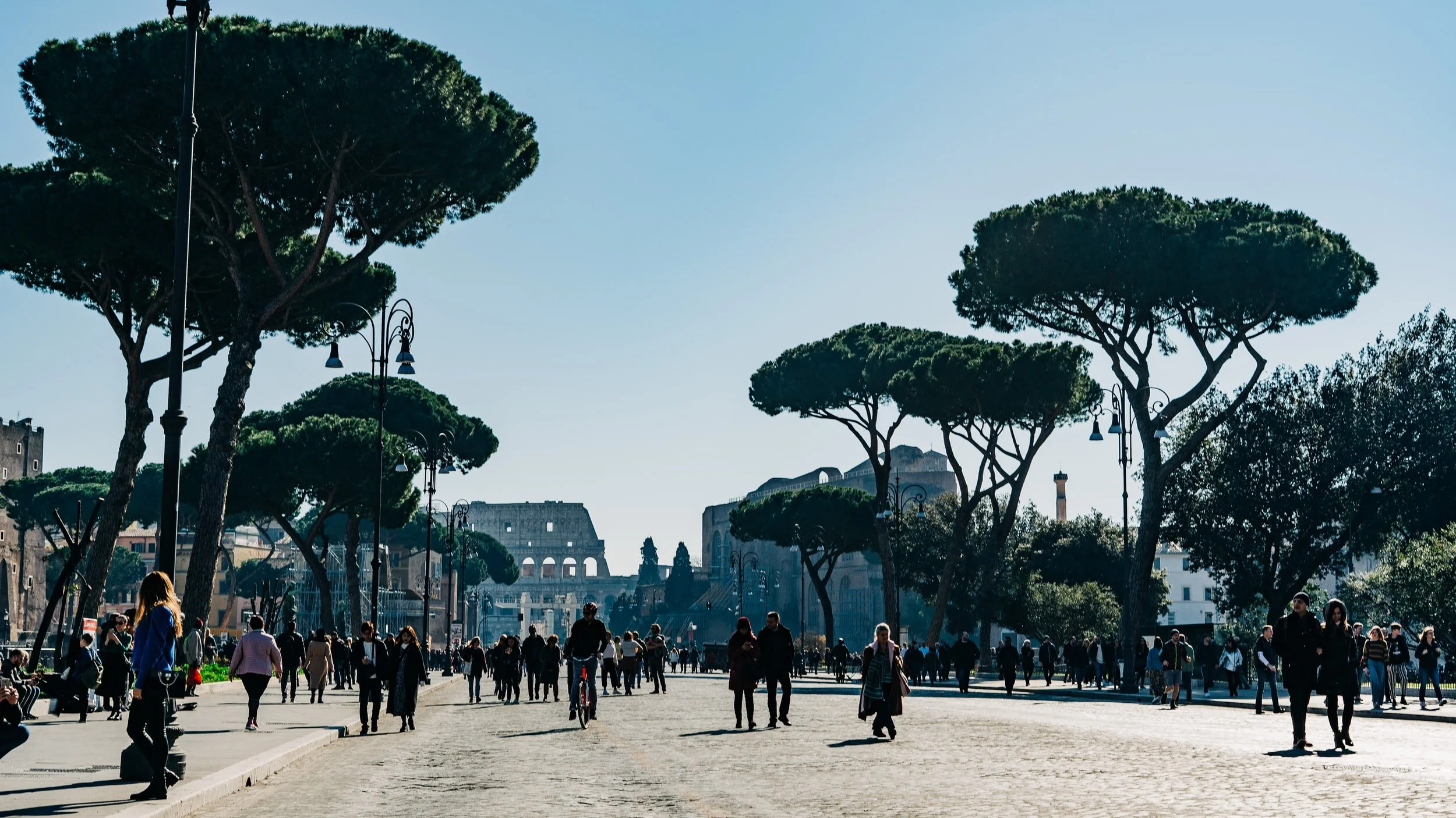 When a single tree makes a difference