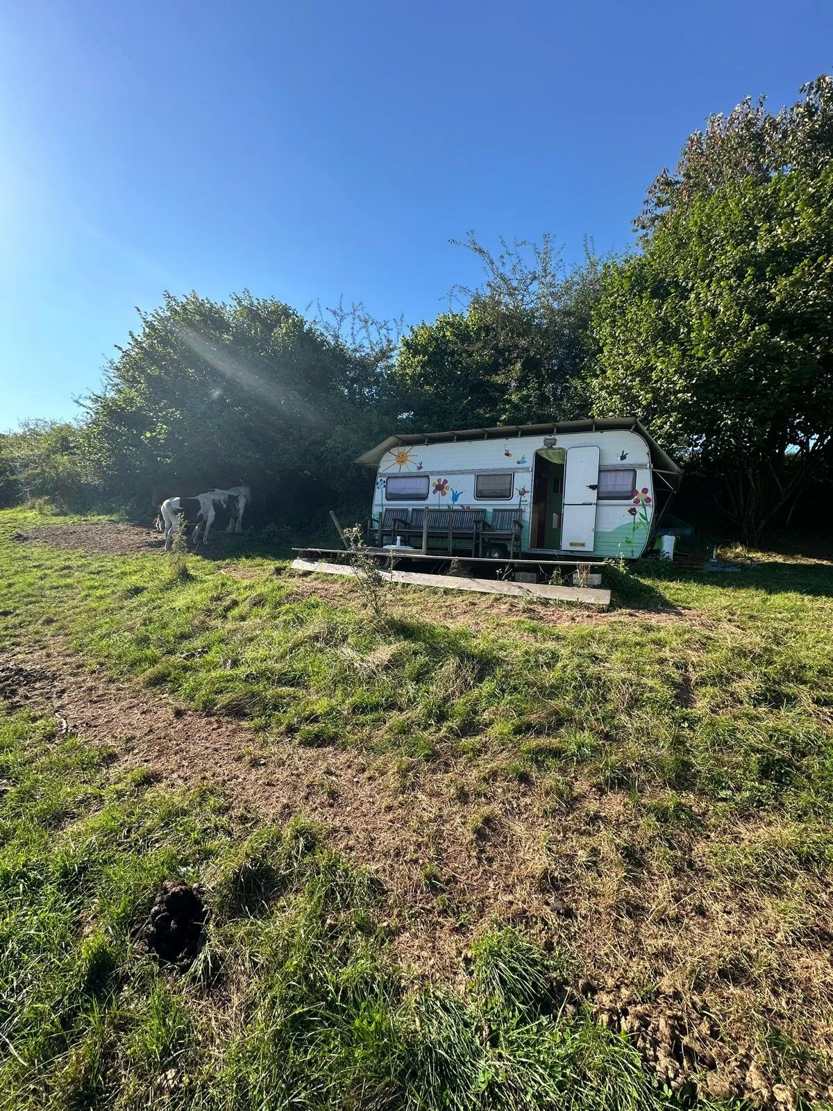 WhatsApp Image 2025-03-04 at 21.50.24 (2).jpeg