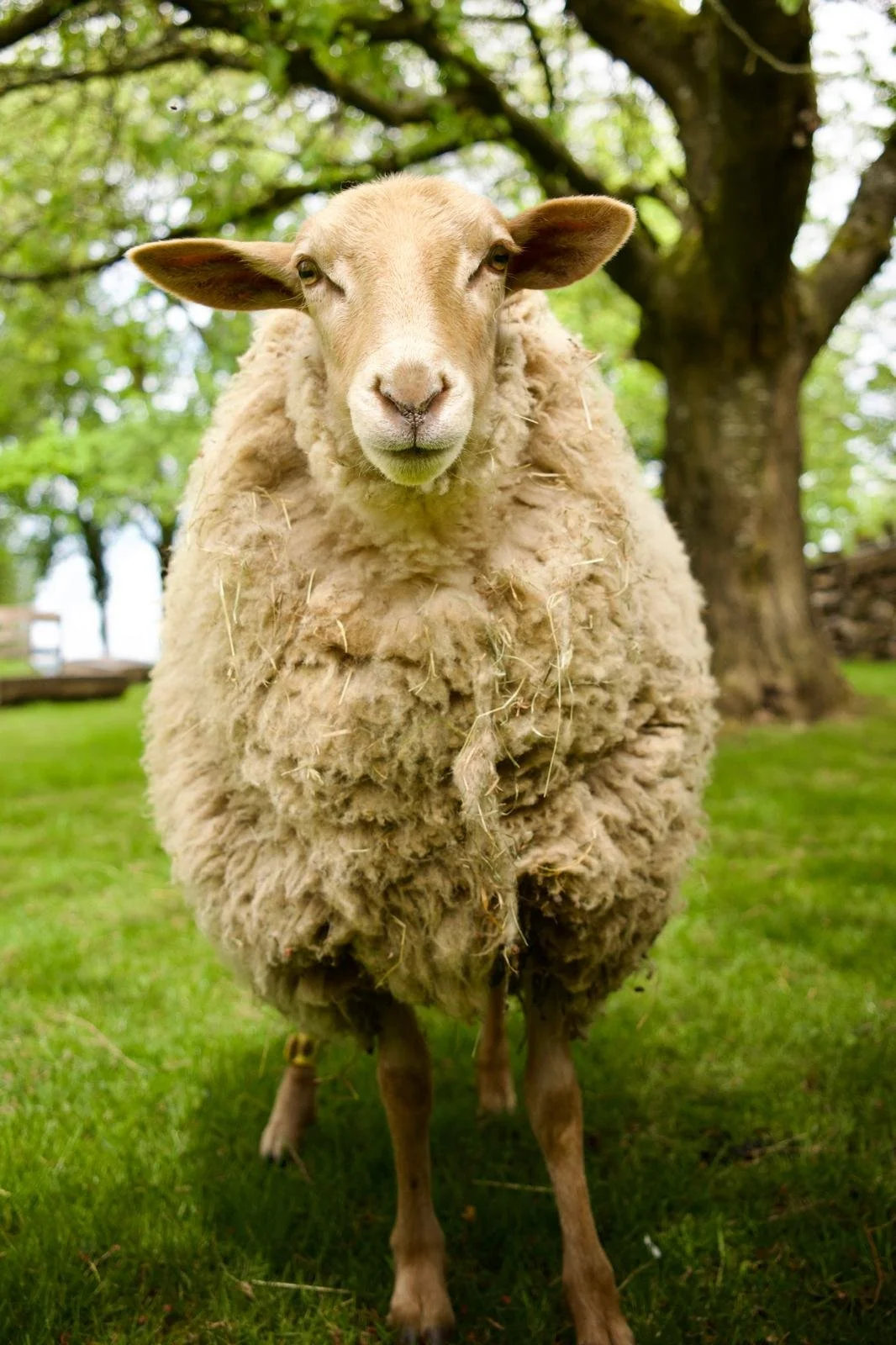 WhatsApp Image 2025-11-07 at 17.51.45.jpeg