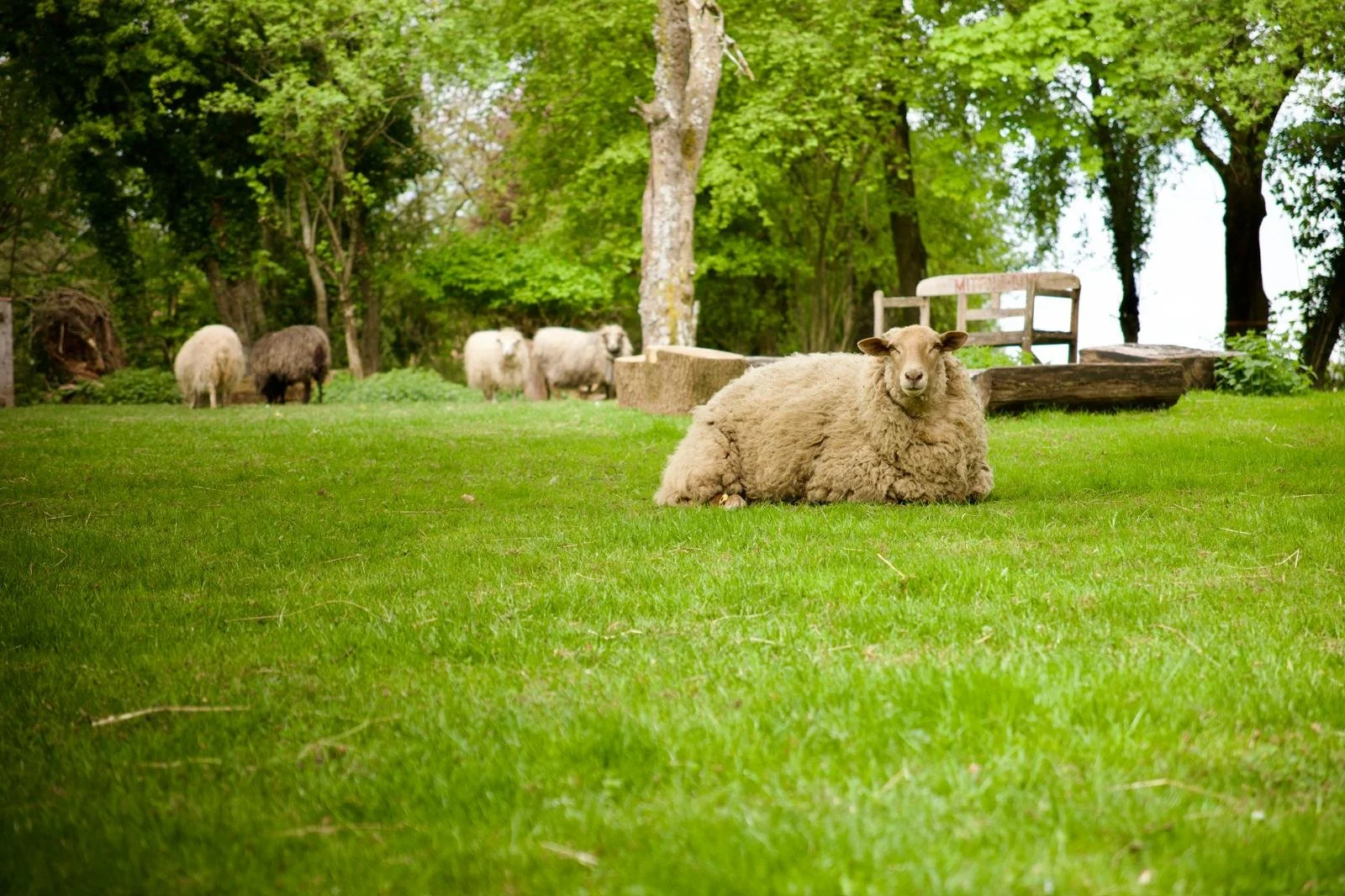 WhatsApp Image 2025-11-07 at 17.51.46 (1).jpeg