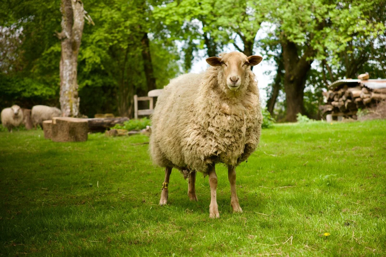 WhatsApp Image 2025-11-07 at 17.51.46.jpeg