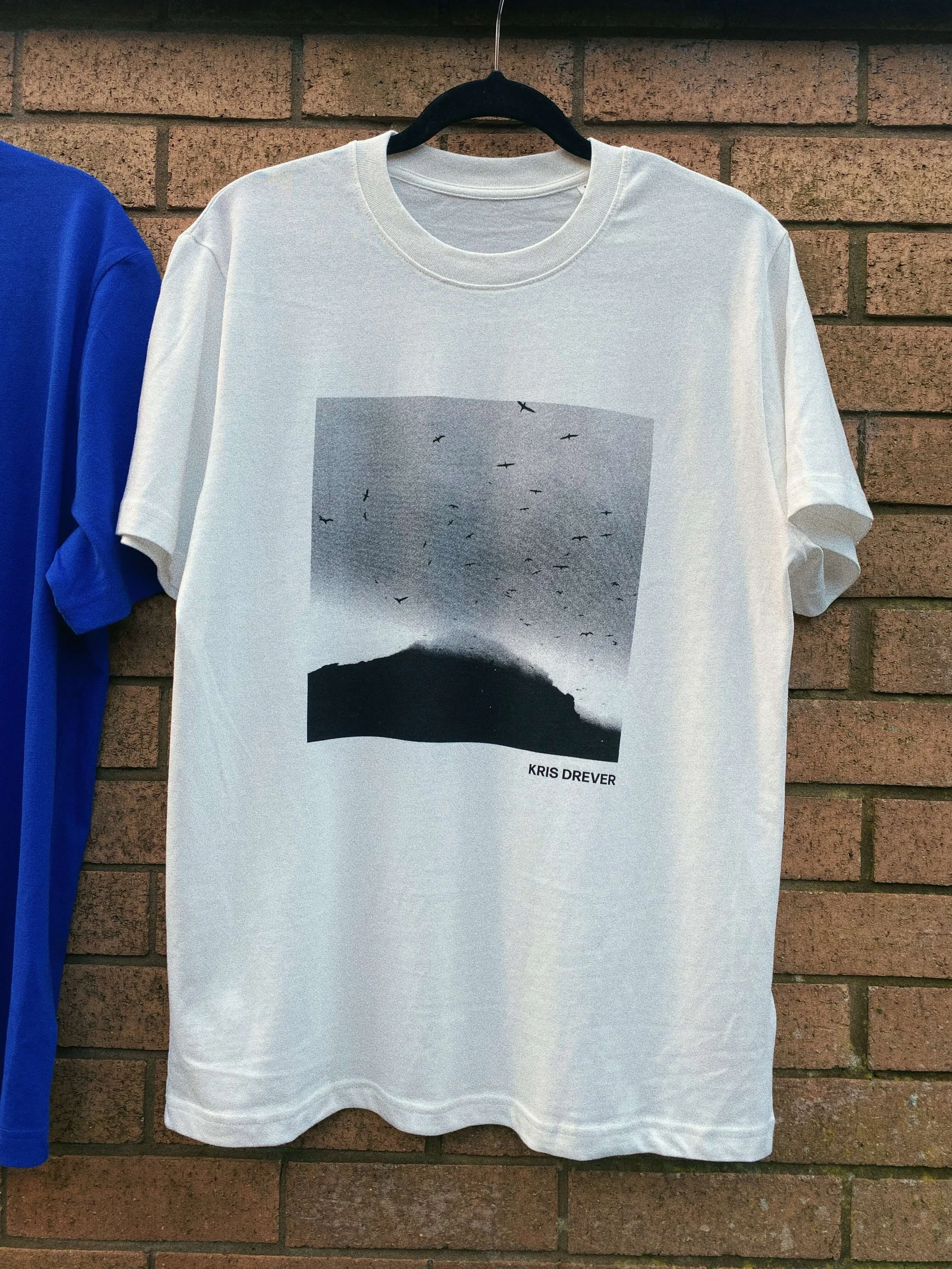 If Wishes Were Horses T3.JPG.JPG