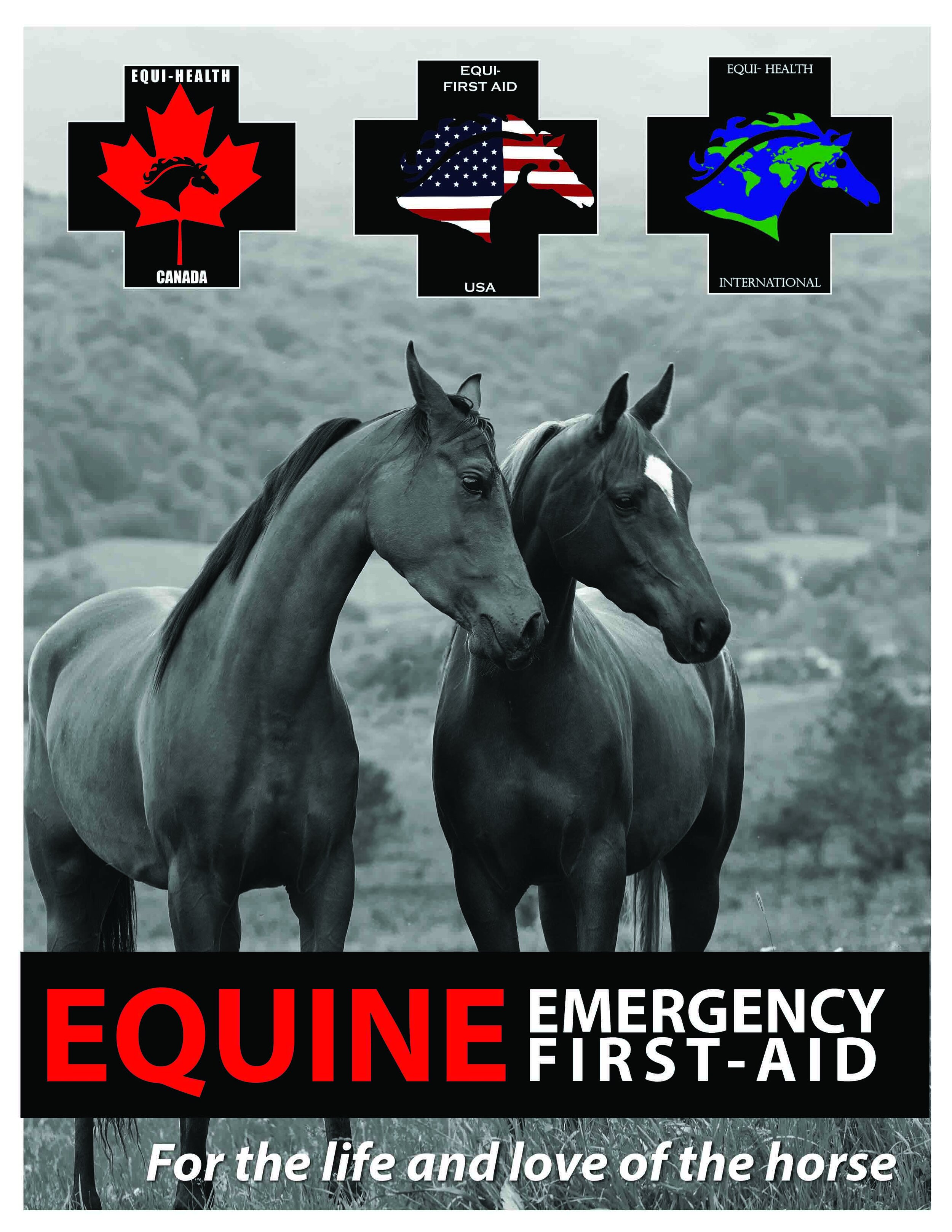 Equine Emergency First Aid Training