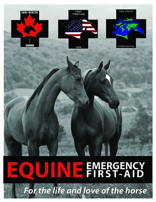 Equine Emergency First Aid