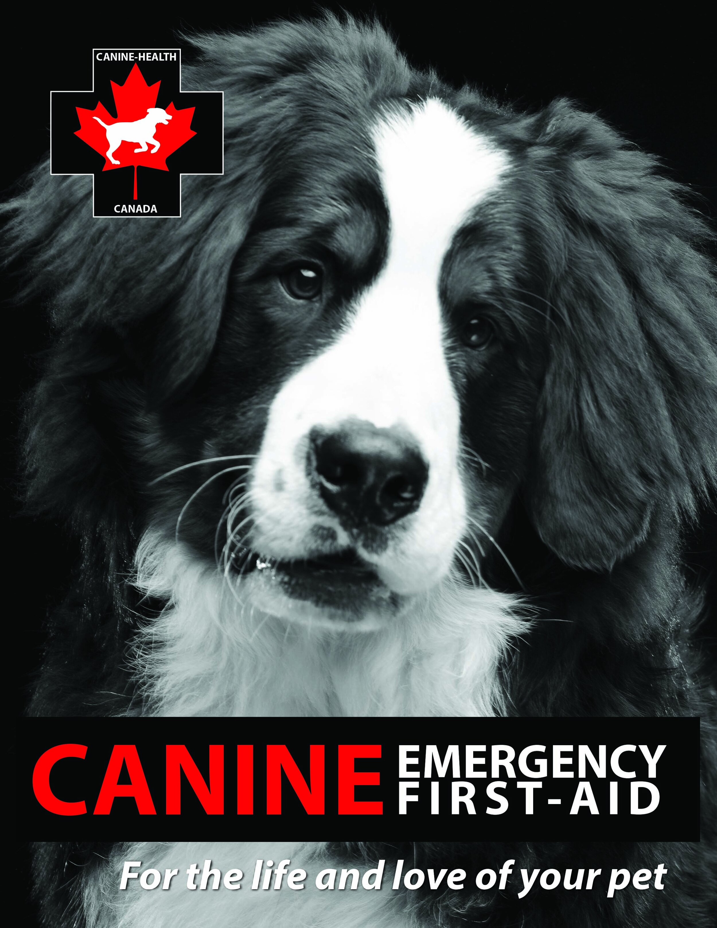 Canine First Aid