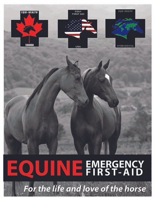 Equine First Aid