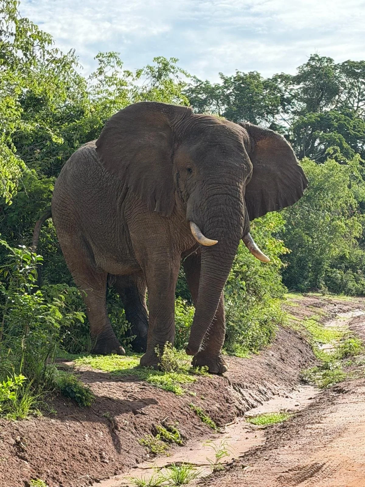 PHOTO-2026-03-03-11-15-50 2.jpg