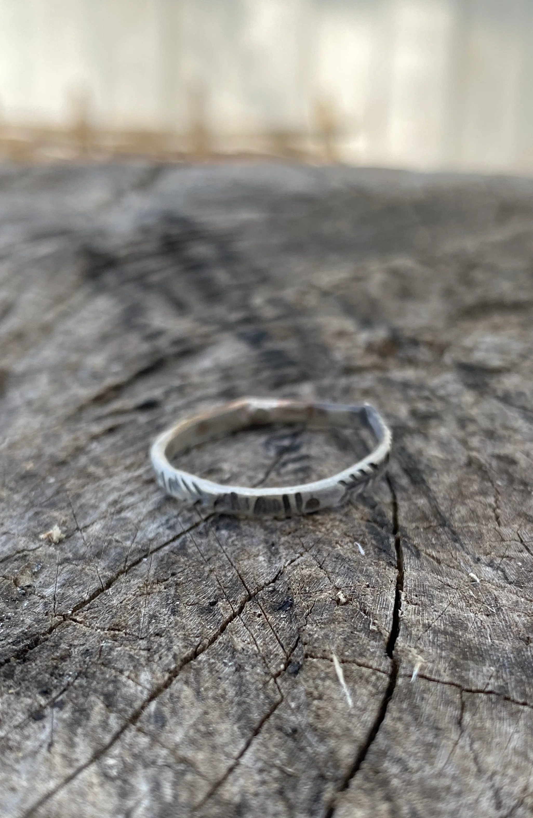 Silver Ring Workshop 4.jpeg