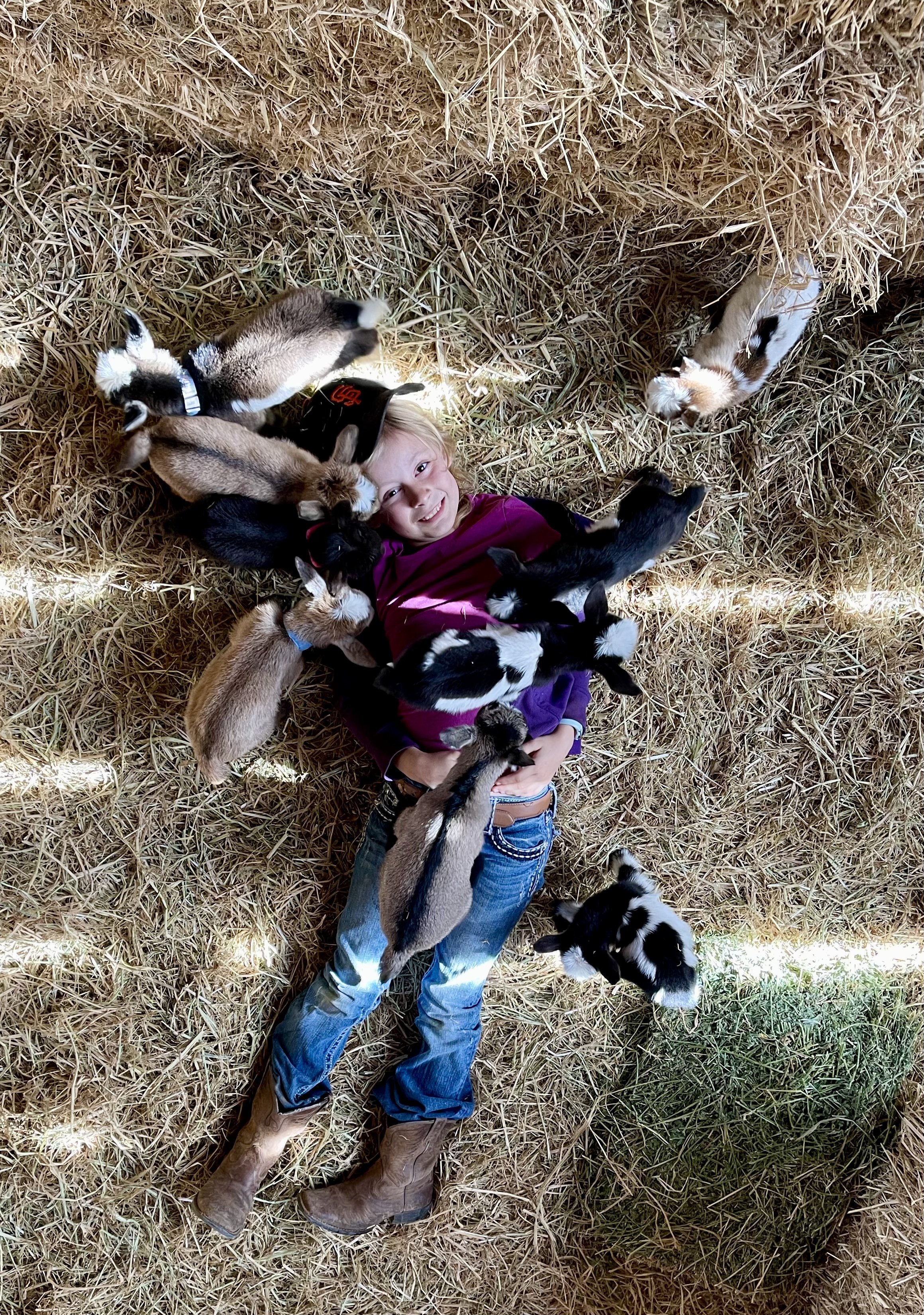 ember baby goats.jpg