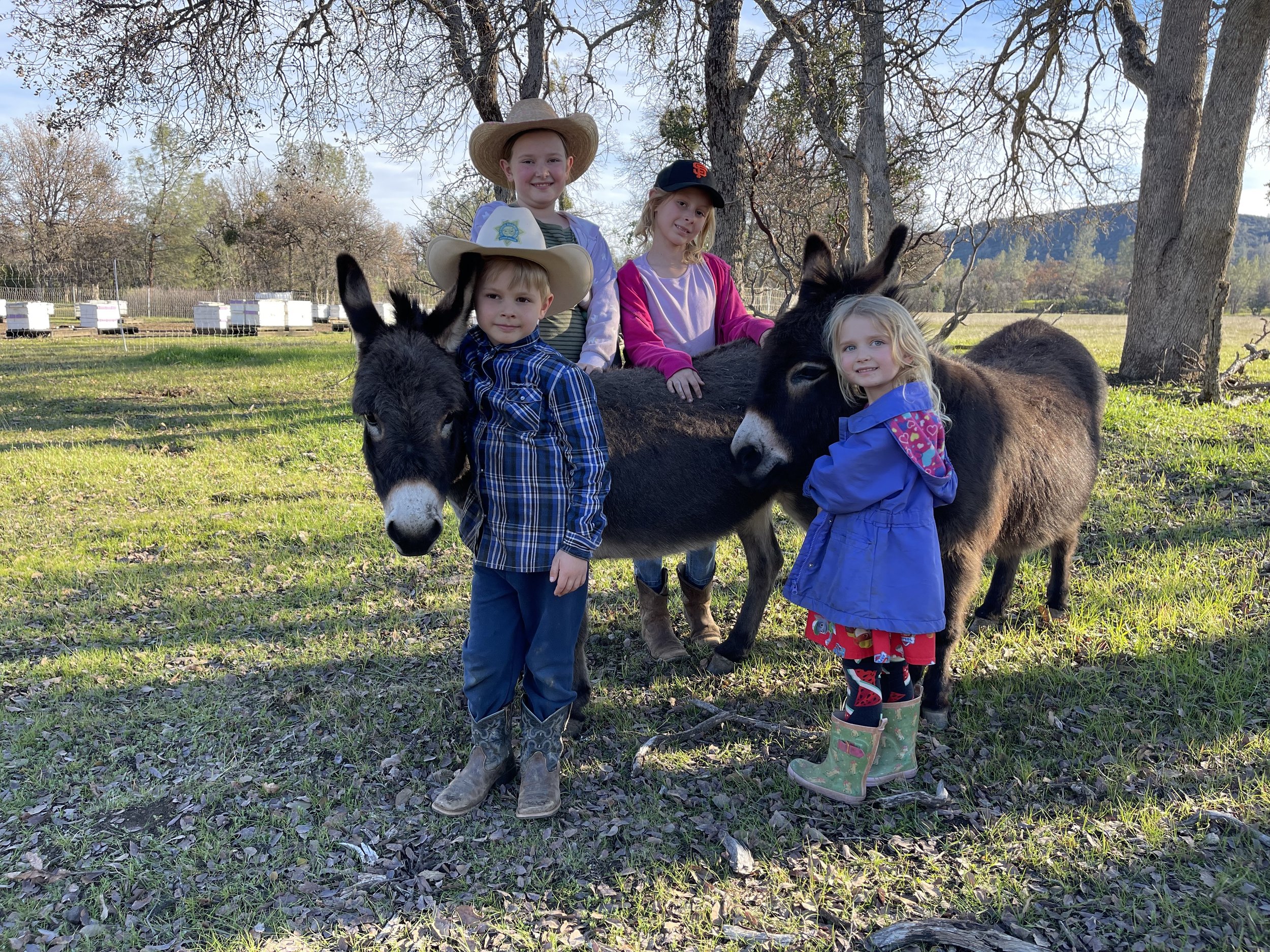 kids and donkeys.jpg