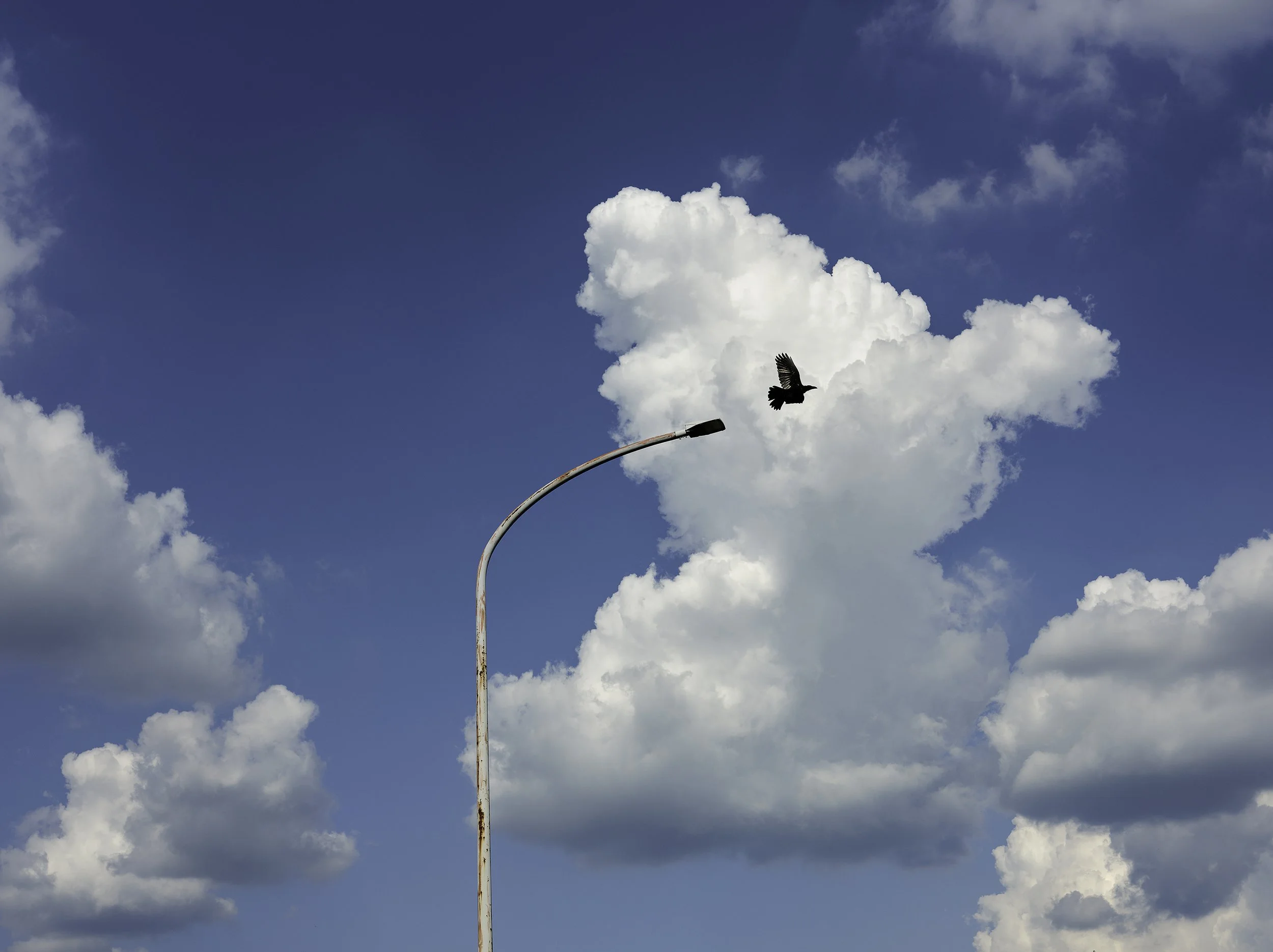 16 x 12 : CType - Fuji Crystal Archive Matt .jpg