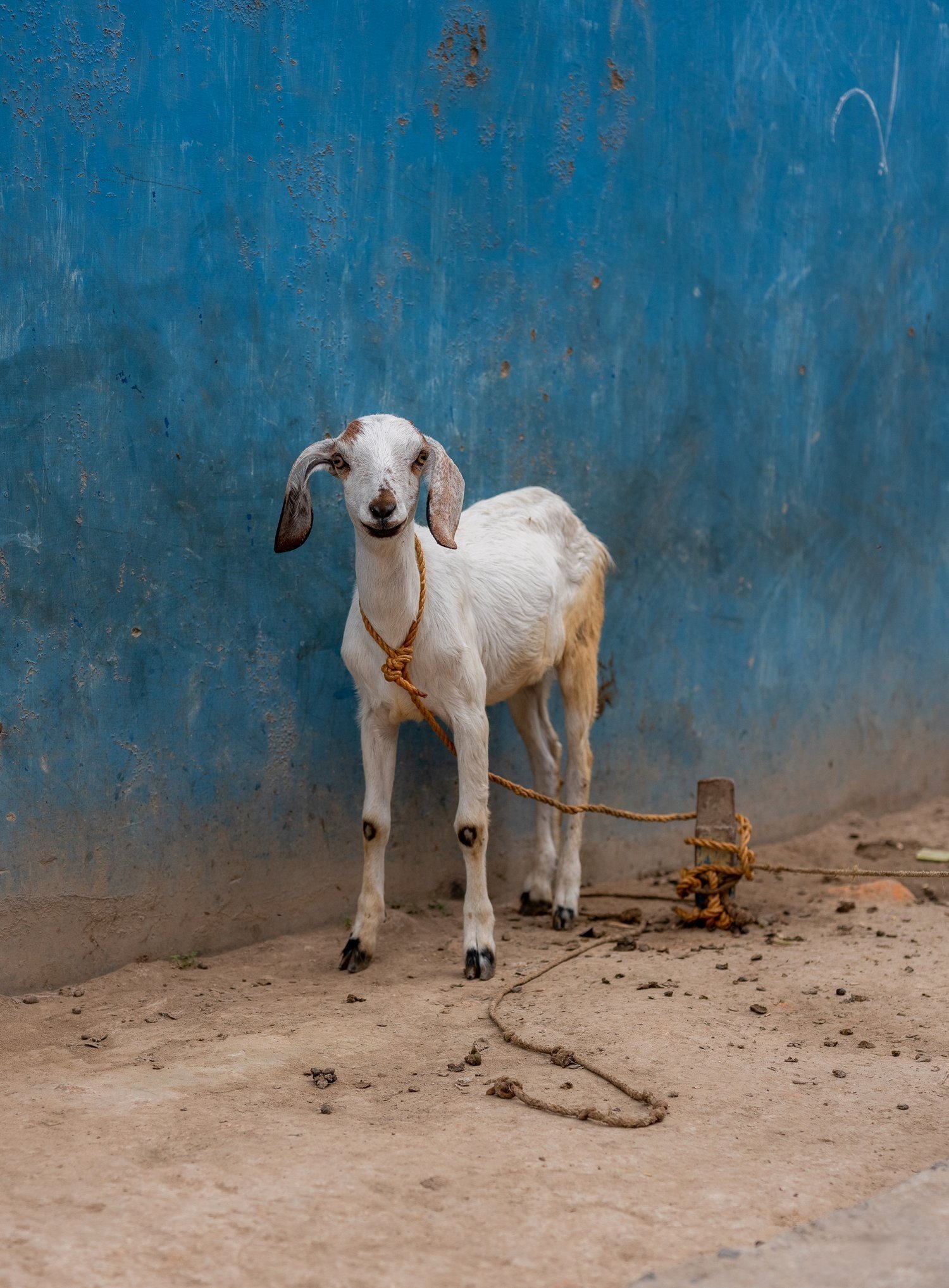 West Bengal