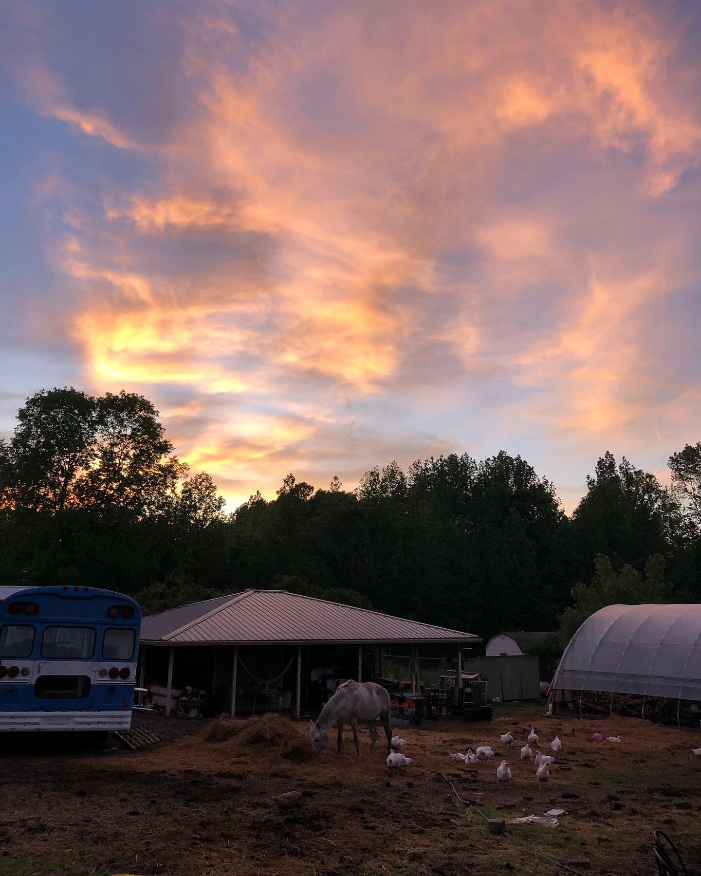 Sunsets are too good these days ✨🥰🥰

I&rsquo;m so excited to announce that we will be offering ✨GROUP RIDES✨ 🤠🤠🤠

Group rides are for folks who are in the Maypop Pony Club (link in bio to fill out form) / folks who have relationship with the May