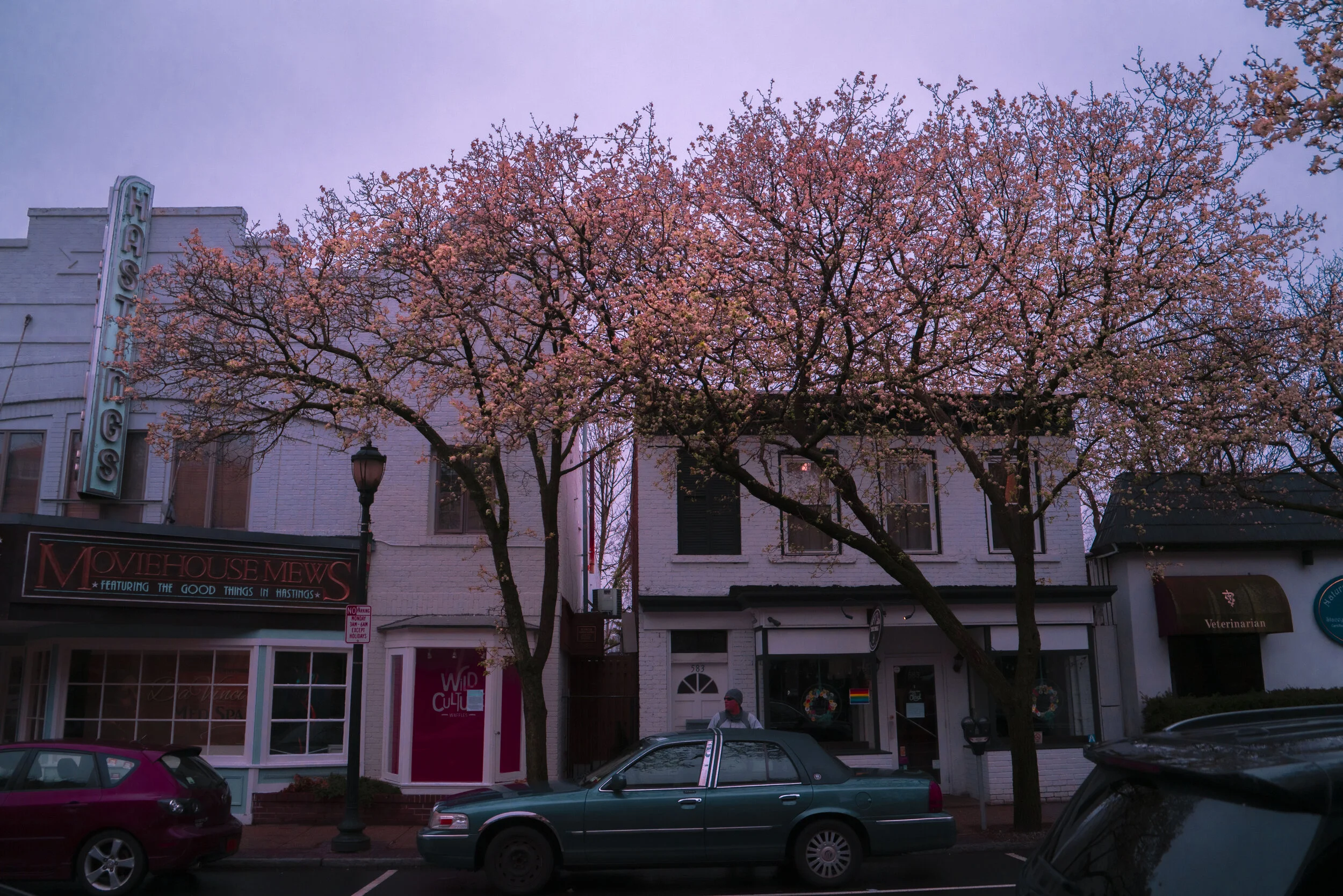 03.30.jpg
