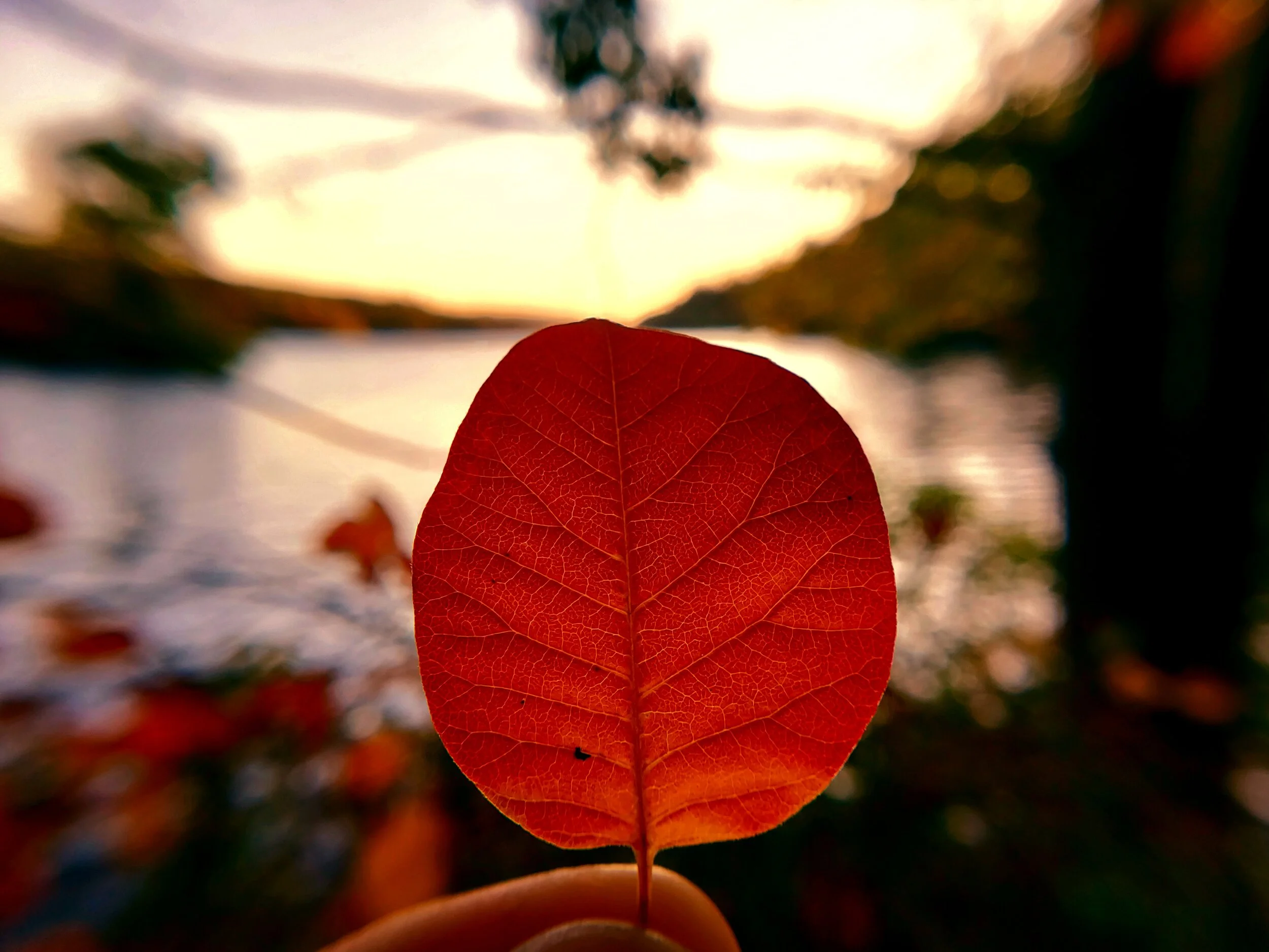 20191014_180821.jpg