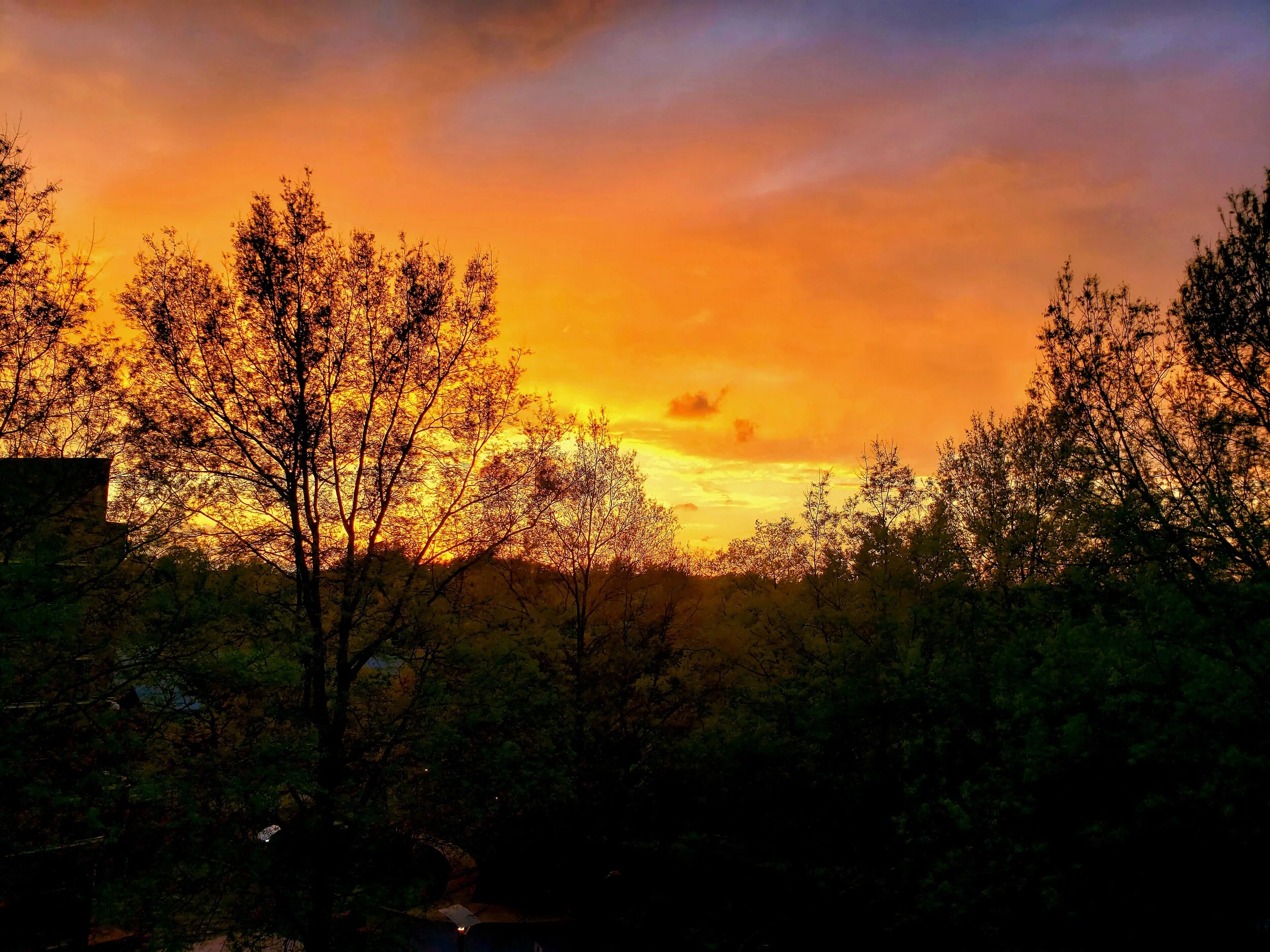 20190517_200142.jpg