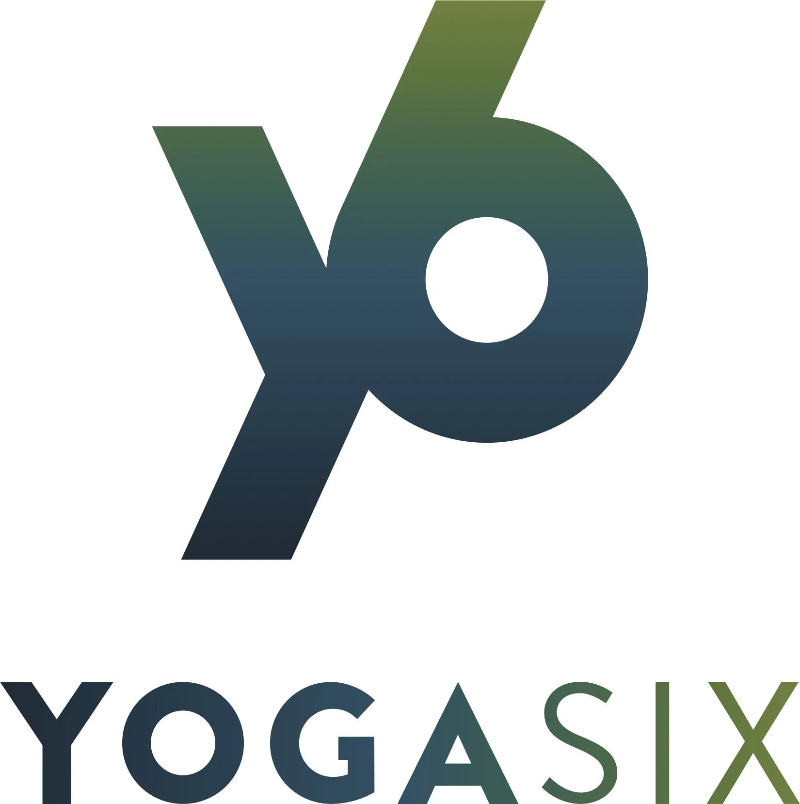 Y6_Logo_Secondary_Color_RGB.jpg