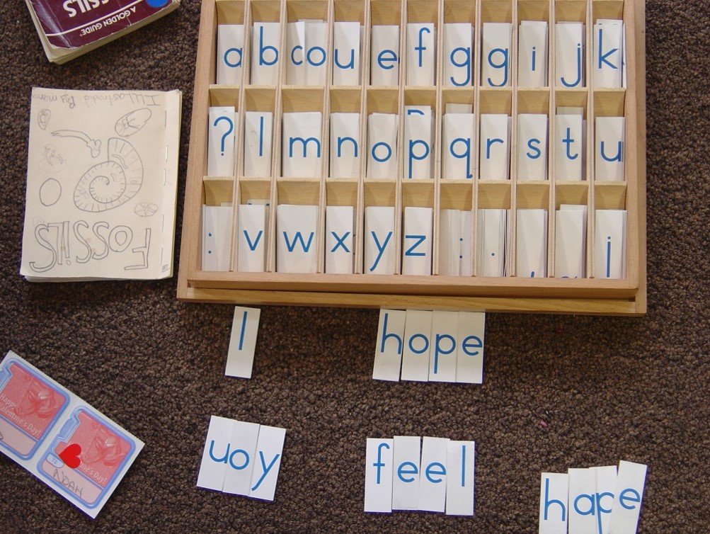 Communicating Safety and Aligning with Others