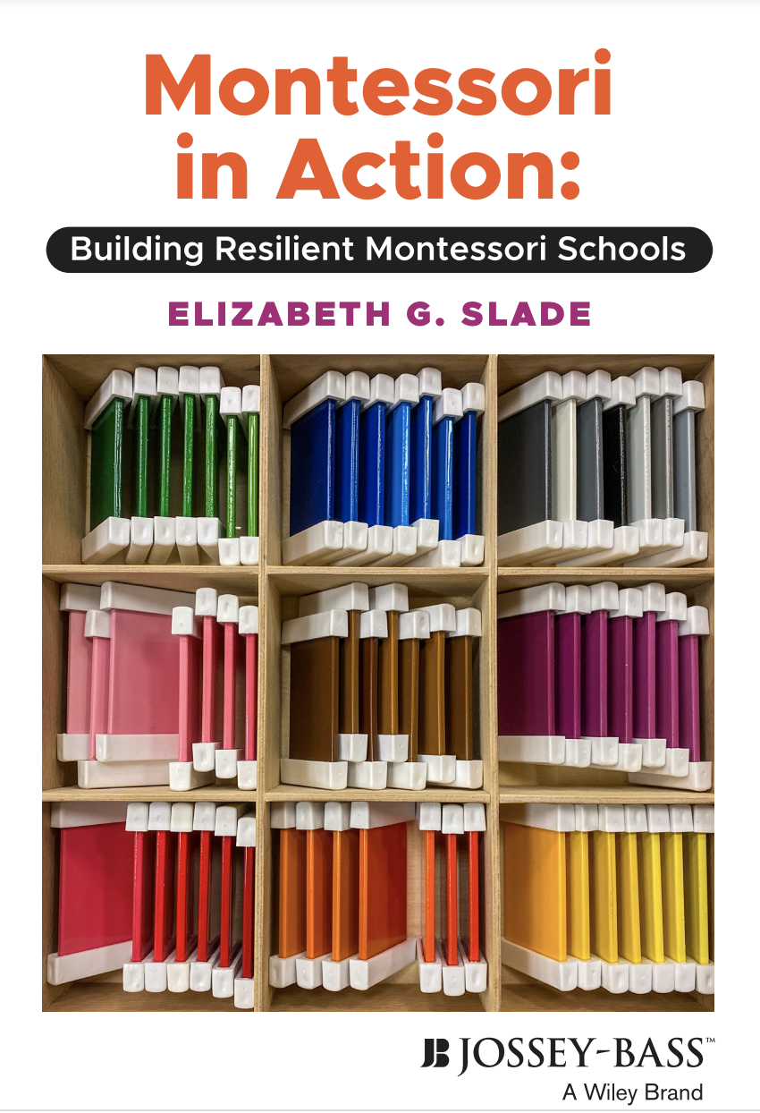Building Resilient Montessori Schools: One School, Honest Talk, Strong Systems