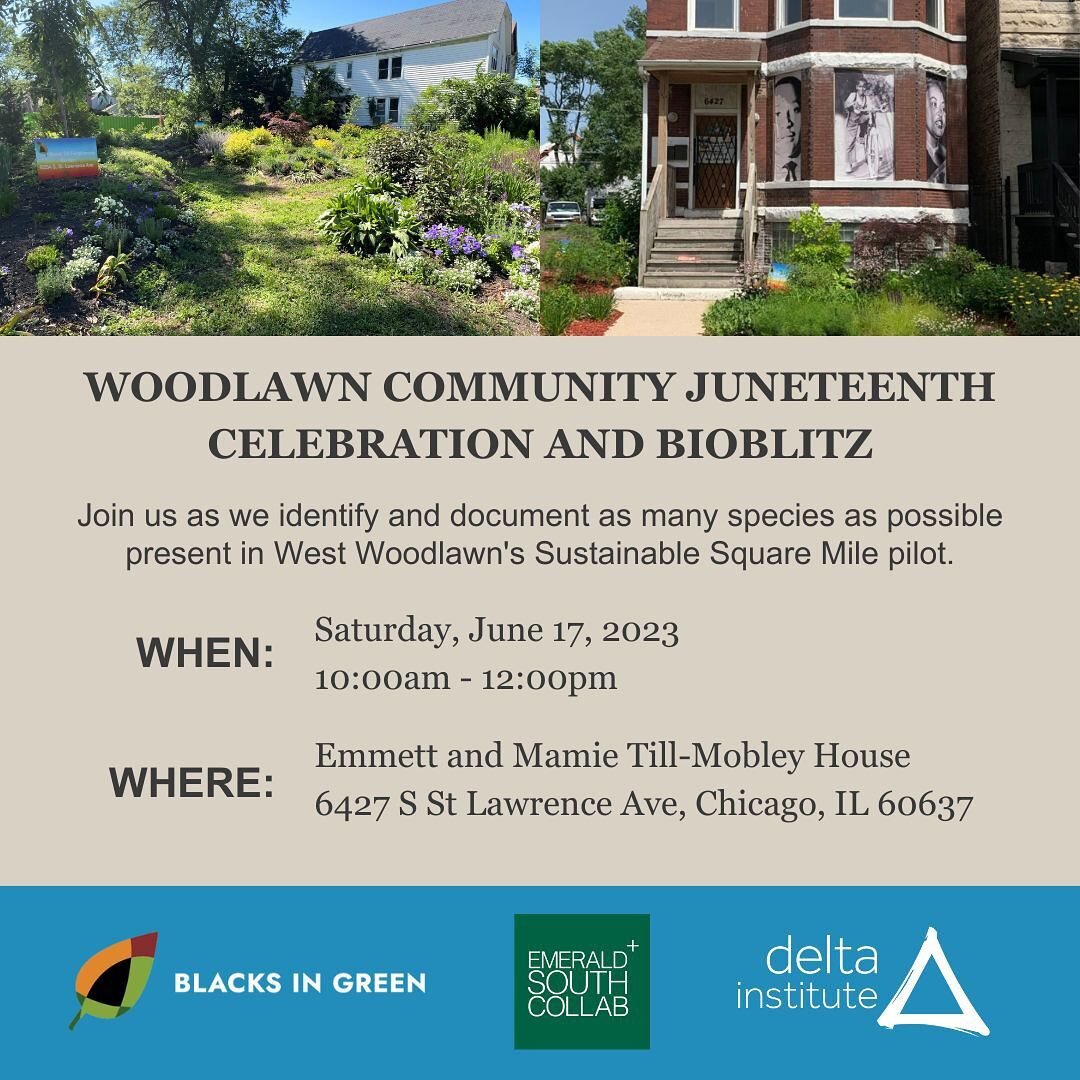 Join @blacksingreen, @deltainstitute, and Emerald South this Saturday in Woodlawn to celebrate Juneteenth and participate in a &ldquo;BioBlitz&rdquo;&mdash;a community-led canvas of existing plants, birds, bees, butterflies, and wildlife at currently