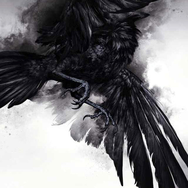 Raven Transmutes by unknown