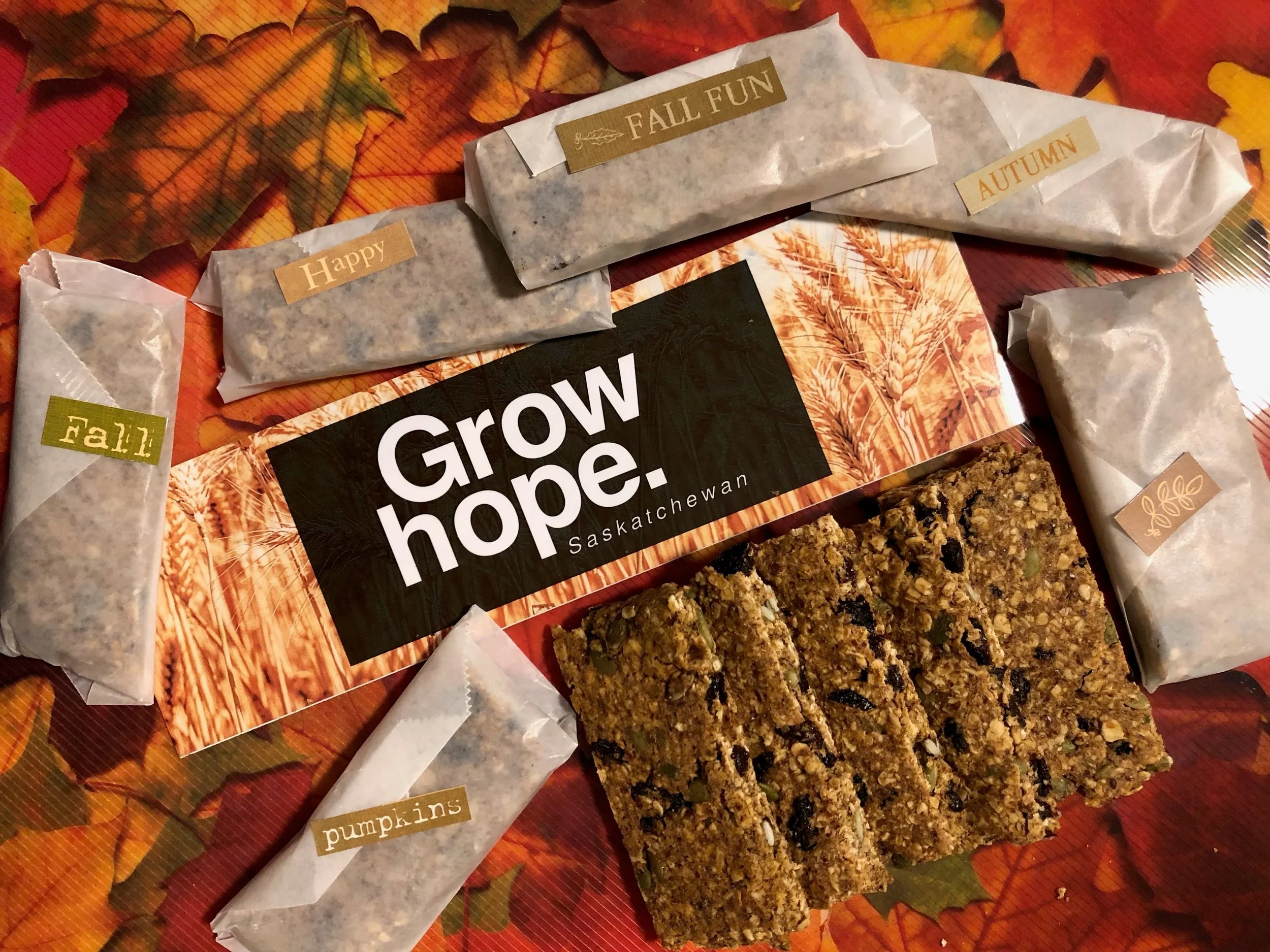 Recipe: Pumpkin Spice Granola Bar