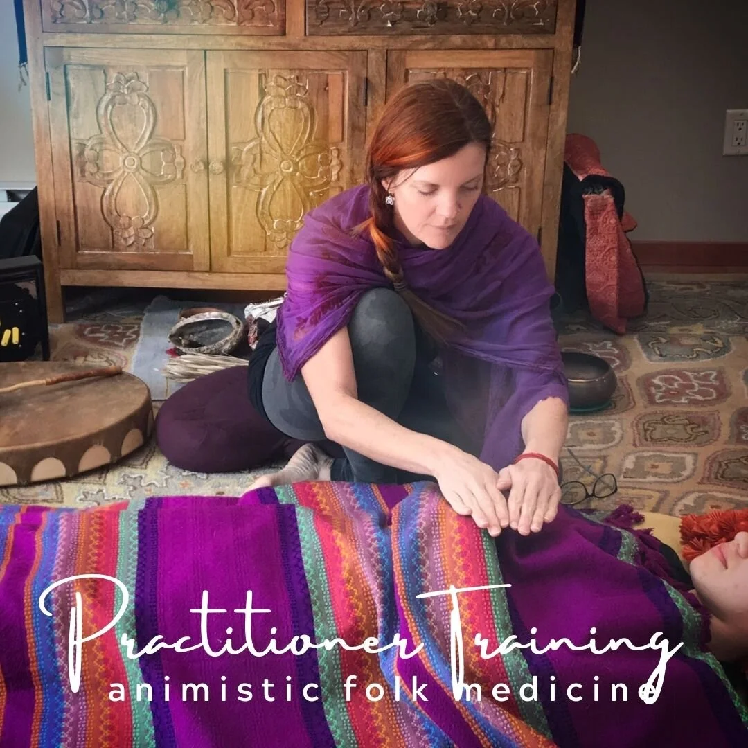 Practitioner Training