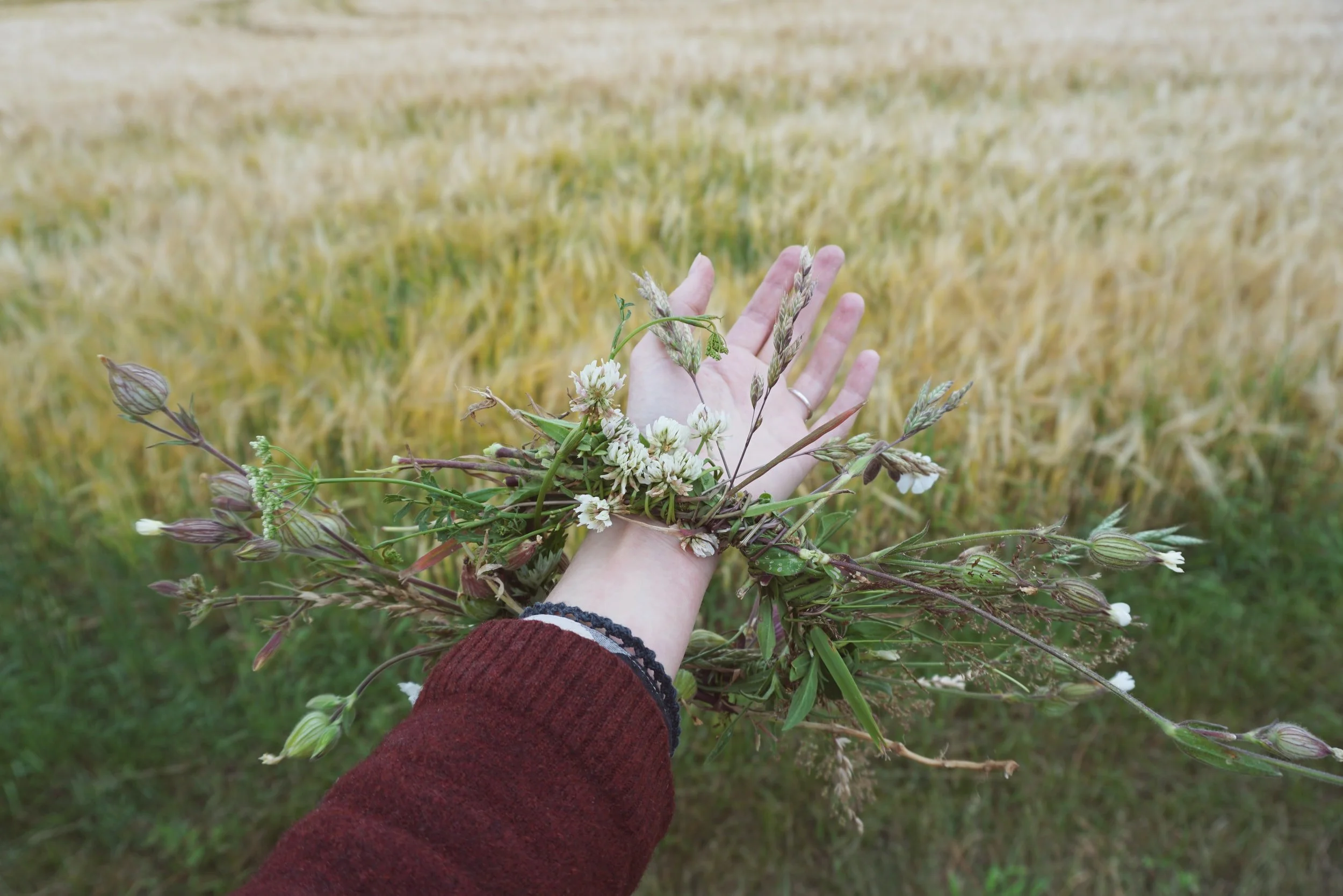 hand outstretched over grass field with a wreath of flowers around wrist
