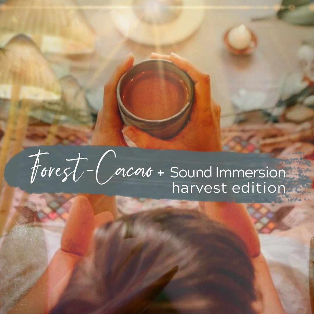 Forest-Cacao + Sound Immersion Harvest Edition