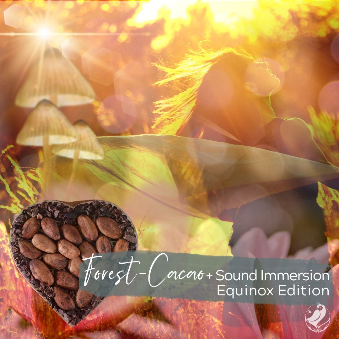 Forest-Cacao + Sound Immersion Equinox Edition