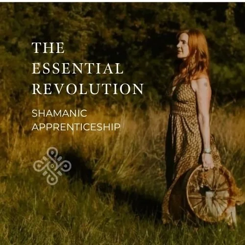 Essential Revolution Apprenticeship