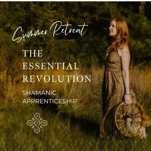 Summer Retreat - Essential Revolution Apprenticeship