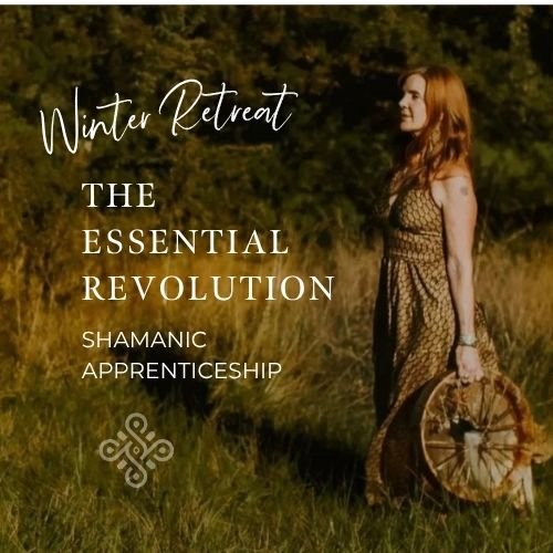 Winter Retreat - Essential Revolution Apprenticeship 