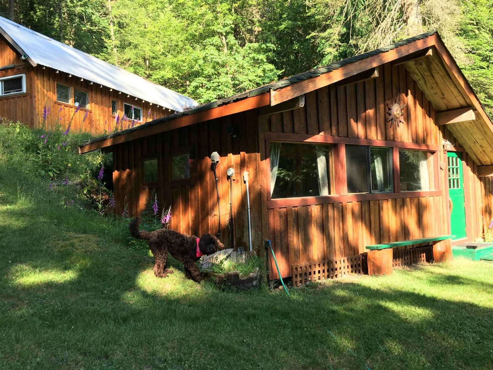 garden cottage at spiritual retreat centre, angela prider, animist retreat, shamanism