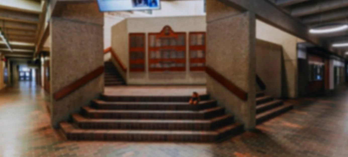 1L GUIDE — LAW STUDENTS' ASSOCIATION