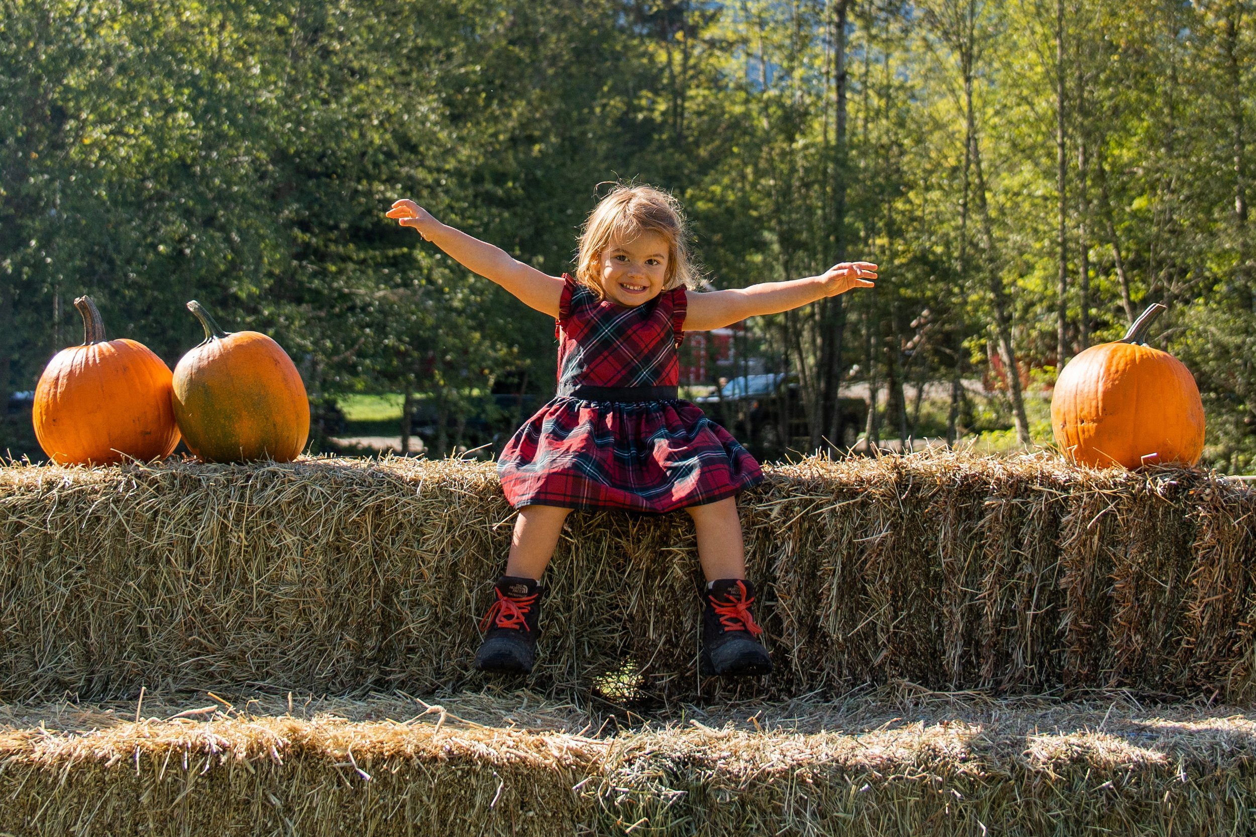 Glacier_Valley_ Farm_Pumpkin_Patch_2023_050.jpg