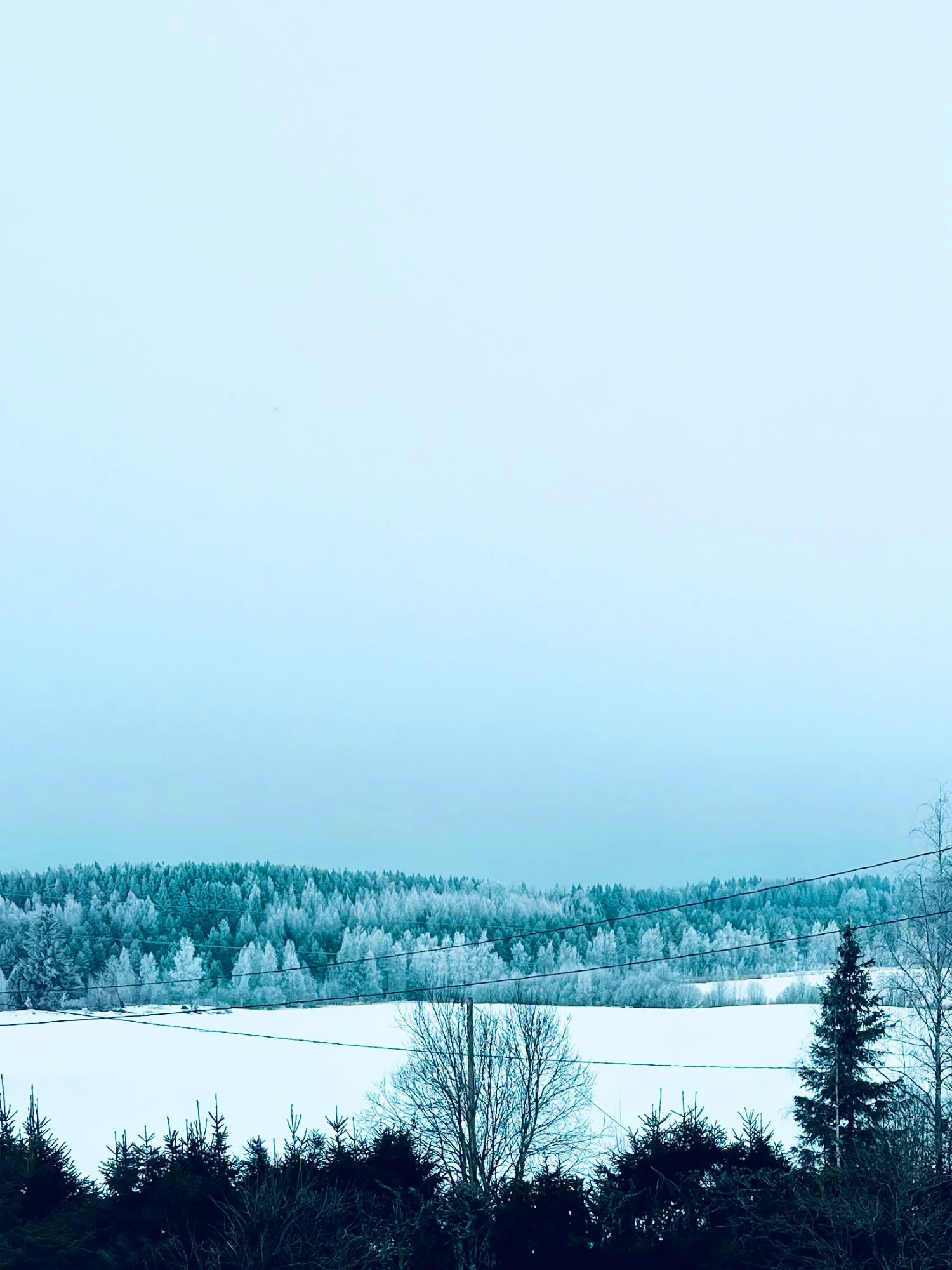 Stillness Under Snow—A Winter in Finland