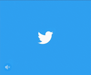 twitter-entertainment-300x250-5fps.gif