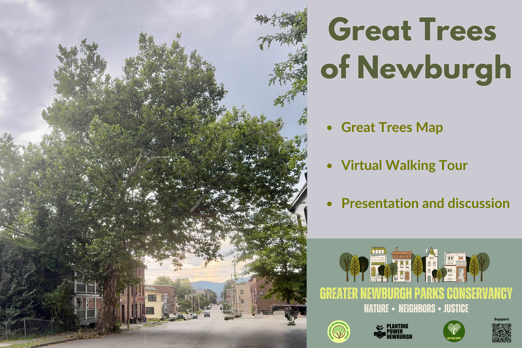 Cocktails and Collections