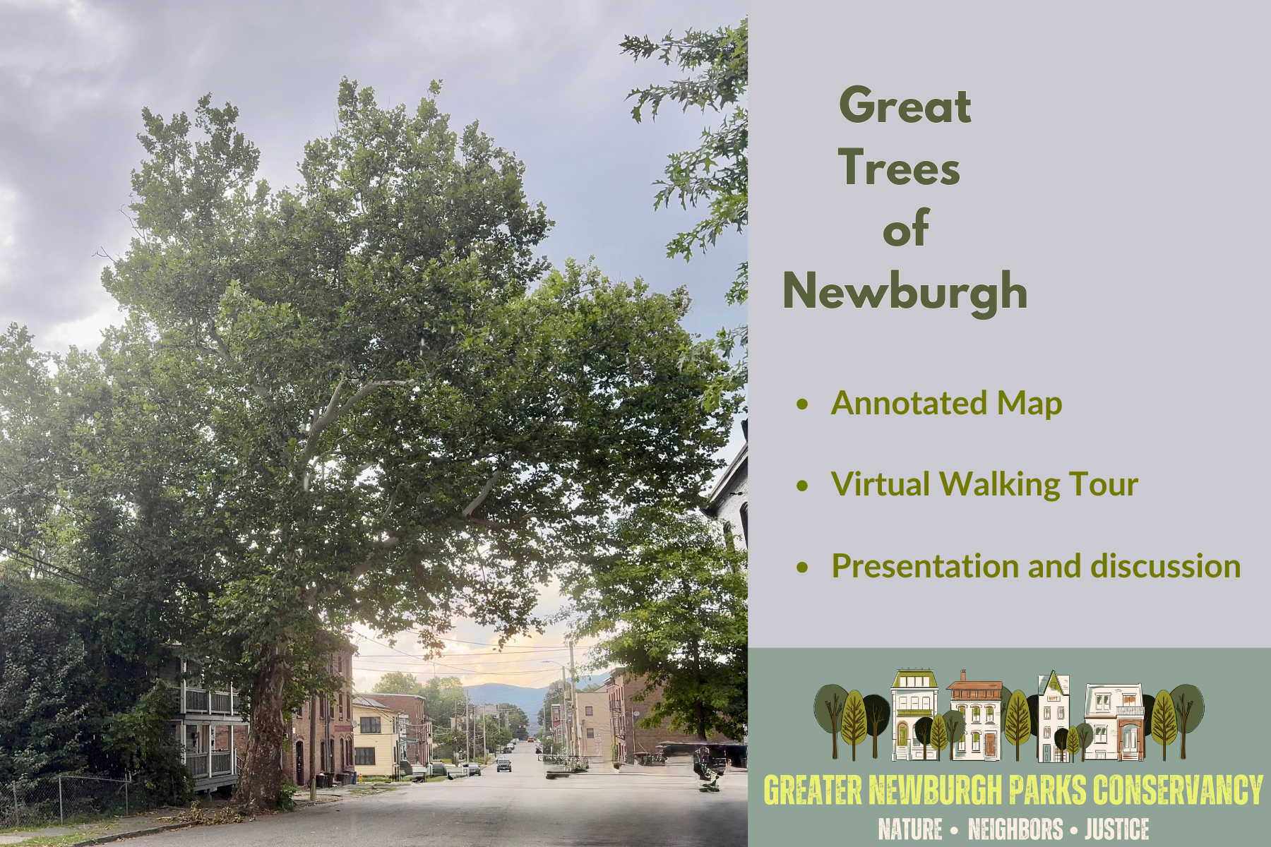 Cocktails and Collections