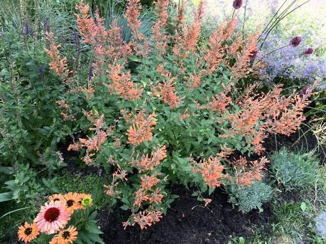 2026 Historical Society Garden Tour