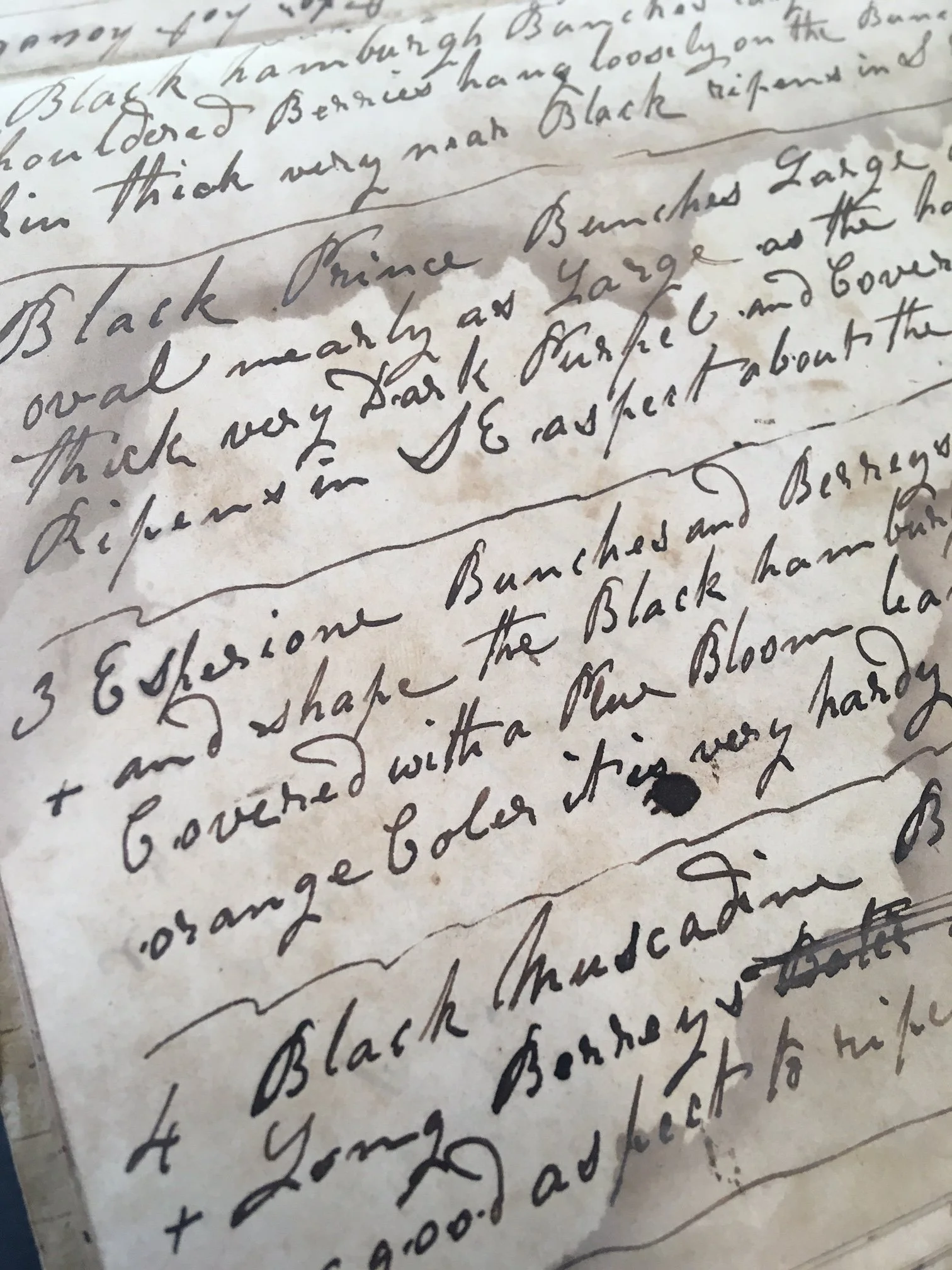 Archive Workshop: The Life of a Newburgh Farmer: The Diary of Solomon Watts