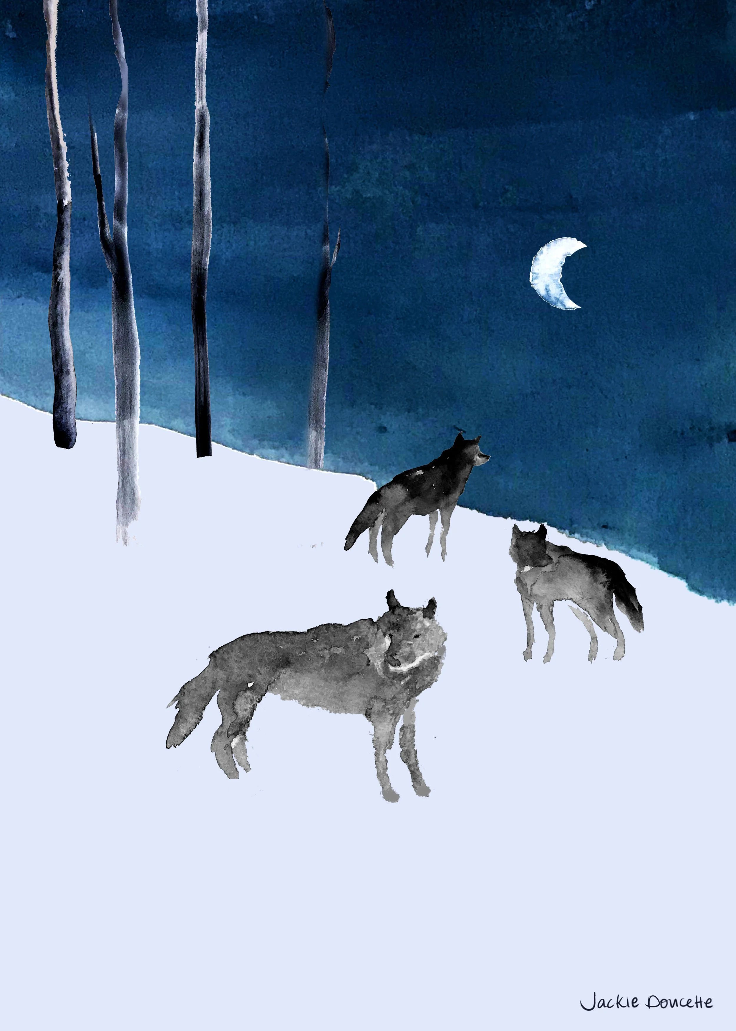 Wolvesatnight copy.jpg