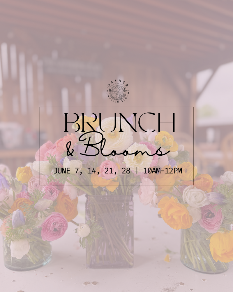 Brunch and Blooms in Colorado Springs