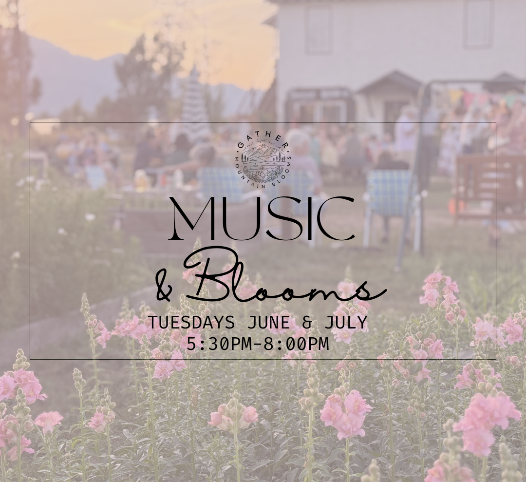 Outdoor summer music concerts colorado springs