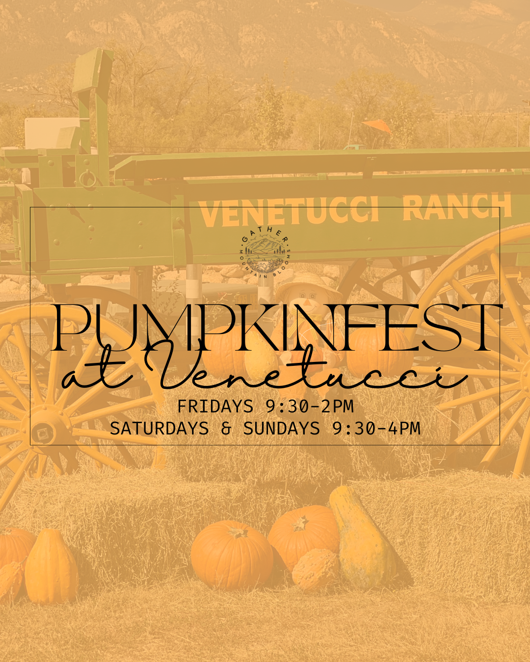 Pumpkin patch at venetucci farm in colorado springs