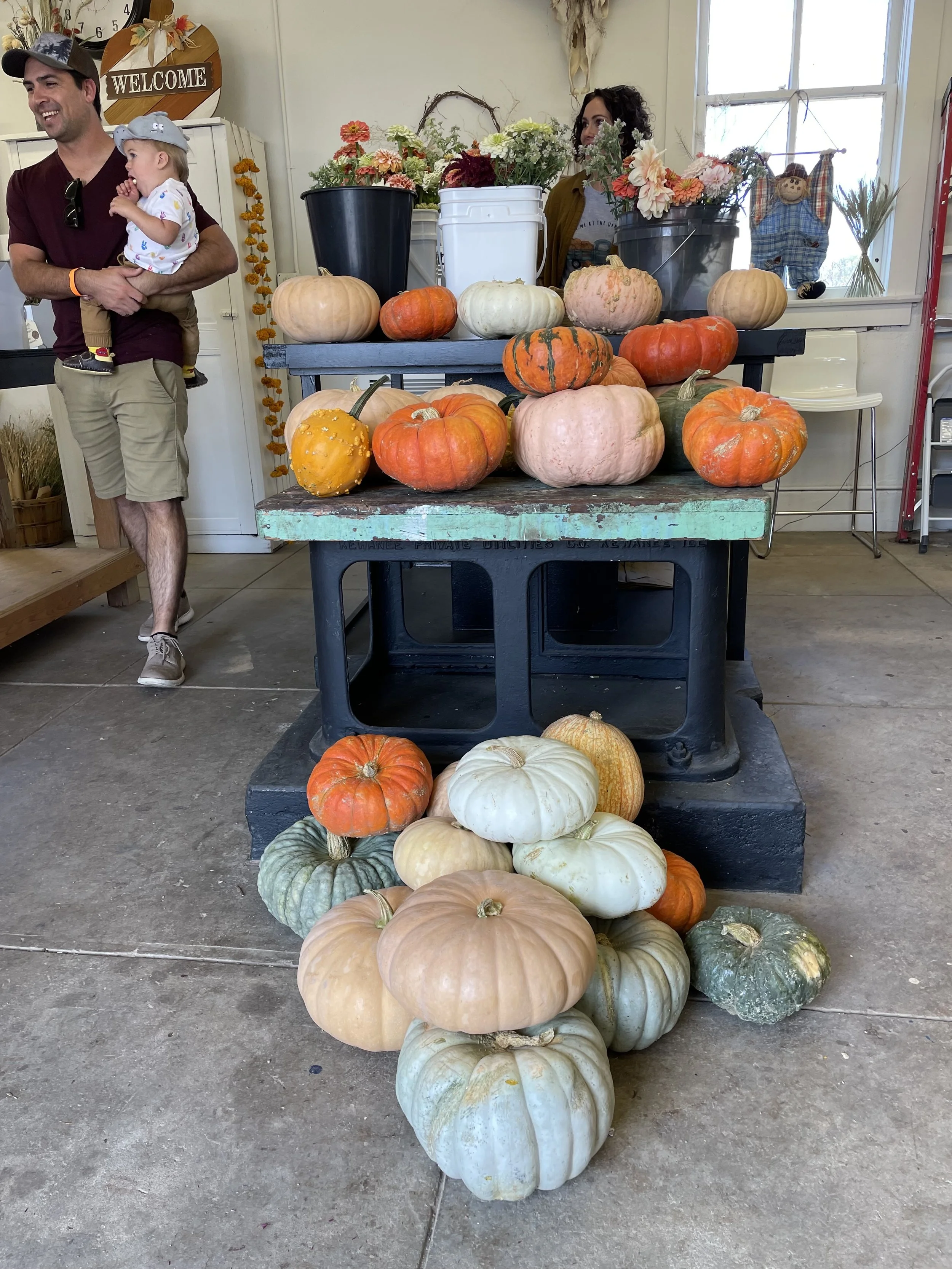 pumpkins 5.JPG