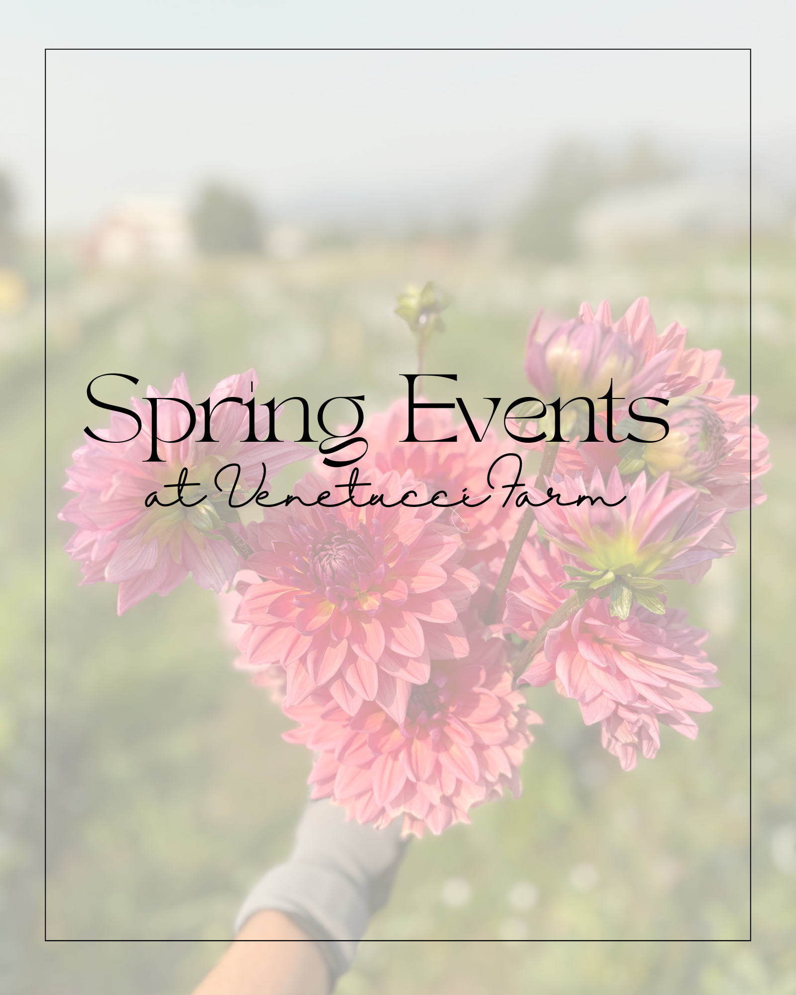 spring things to do on the flower farm