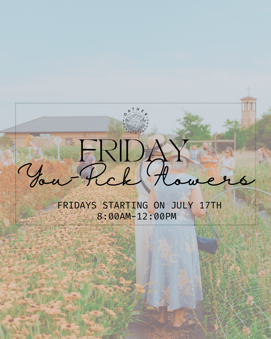 Pick your own flowers colorado springs