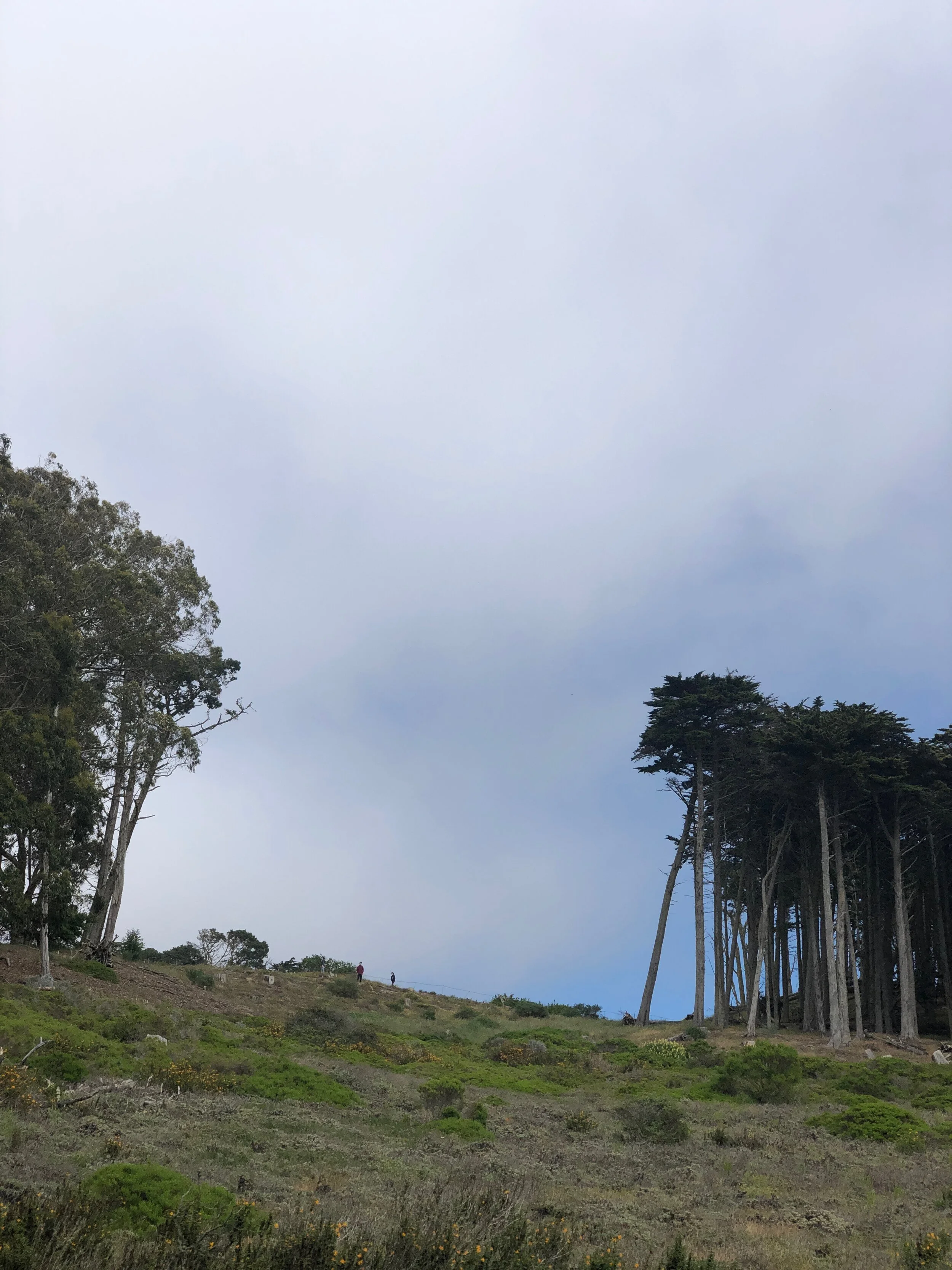 May Day: The Opening Of A 4 Act Play